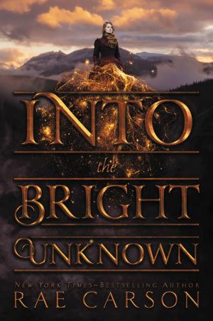 Cover of the book Into the Bright Unknown by Paul Fleischman