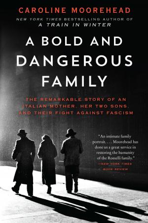 Book cover of A Bold and Dangerous Family