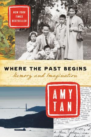 Book cover of Where the Past Begins
