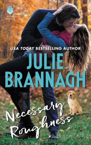 Book cover of Necessary Roughness