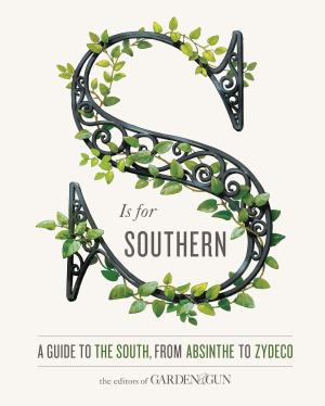 Cover of the book S Is for Southern by Cameron Diaz