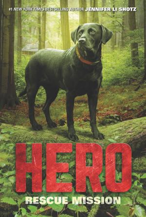 Cover of Hero: Rescue Mission by Jennifer Li Shotz, HarperCollins