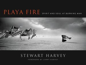Cover of the book Playa Fire by Majid Fotuhi, Christina Breda Antoniades