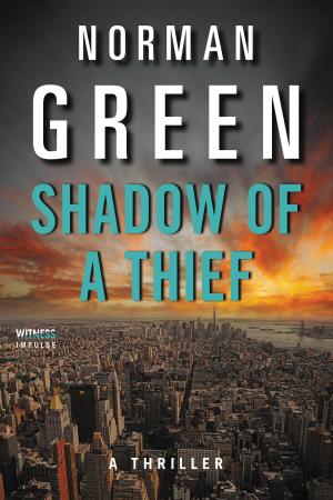 Book cover of Shadow of a Thief