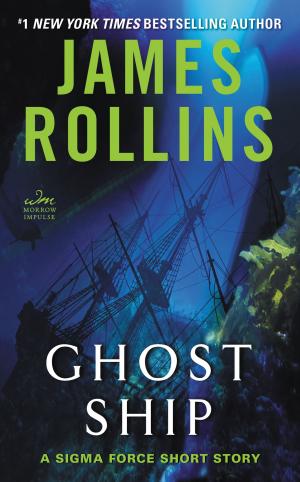 Cover of the book Ghost Ship by Mary McNear