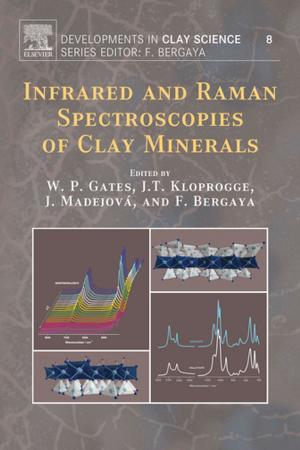 Cover of the book Infrared and Raman Spectroscopies of Clay Minerals by Thomas A. Jefferson, Marc A. Webber, Robert L. Pitman