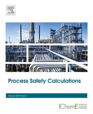 Cover of the book Process Safety Calculations by Teresa A.P. Rocha-Santos, Armando C. Duarte