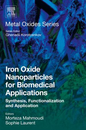 Cover of the book Iron Oxide Nanoparticles for Biomedical Applications by Guillaume Delaplace, Karine Loubière, Fabrice Ducept, Romain Jeantet