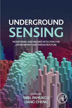 Cover of the book Underground Sensing by Kenneth D. Tew, Paul B. Fisher