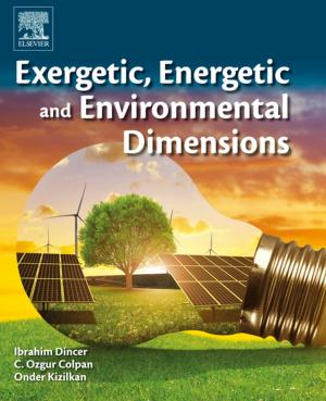 Cover of the book Exergetic, Energetic and Environmental Dimensions by John R. Ferraro
