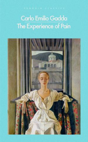 Cover of the book The Experience of Pain by Leifur Eiricksson