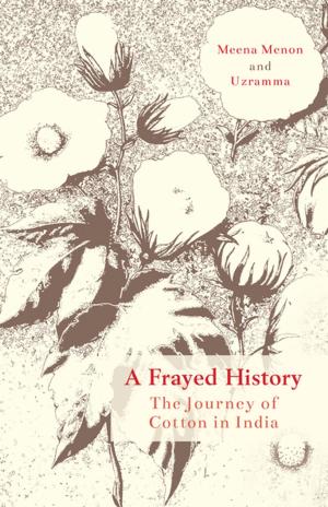 Cover of the book A Frayed History by Ana Jelnikar