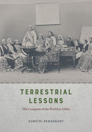 Cover of the book Terrestrial Lessons by Allen J. Coombes