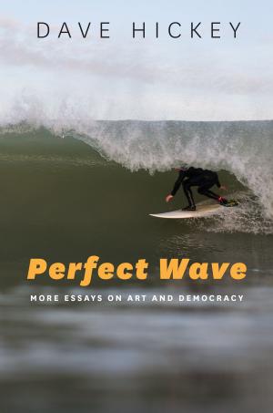 Cover of the book Perfect Wave by Allen J. Coombes