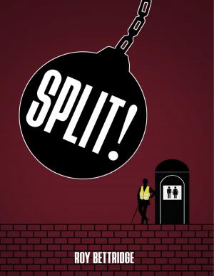 Cover of the book Split! by Laura Jay