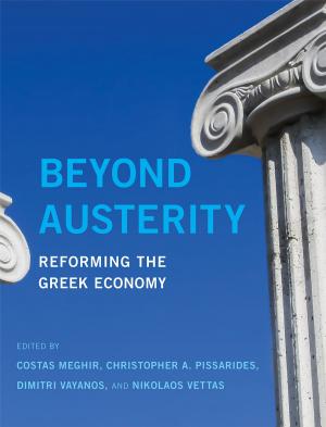 Book cover of Beyond Austerity