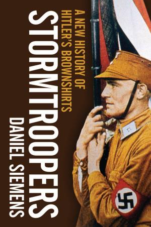 Cover of the book Stormtroopers by R. M. Douglas