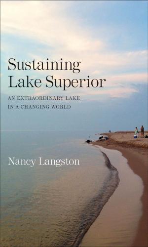 Cover of the book Sustaining Lake Superior by Professor James W. Jones