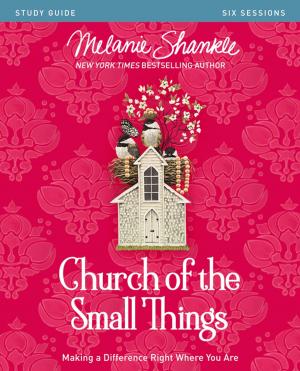 Cover of the book Church of the Small Things Study Guide by Robert Wolgemuth, Mark DeVries