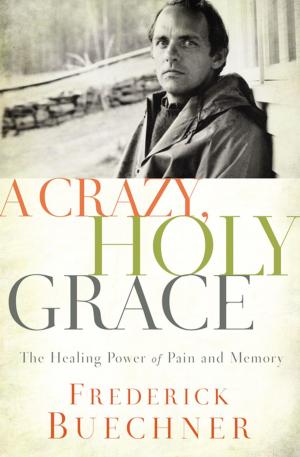 bigCover of the book A Crazy, Holy Grace by 