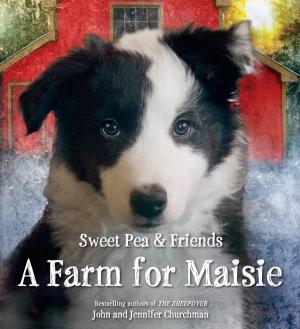 Cover of the book A Farm for Maisie by Kelly Barnhill