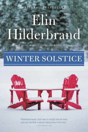 Cover of the book Winter Solstice by David H. Freedman