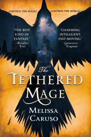 Cover of the book The Tethered Mage by CP Bialois