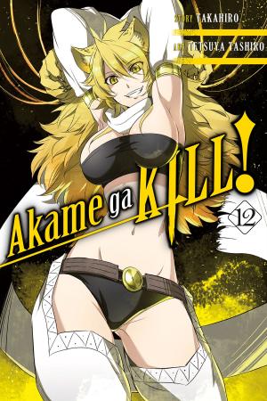 Book cover of Akame ga KILL!, Vol. 12