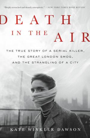 Cover of the book Death in the Air by Justin Martin