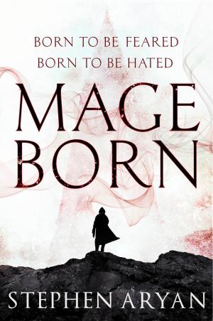 Cover of the book Mageborn by R.J. Vickers