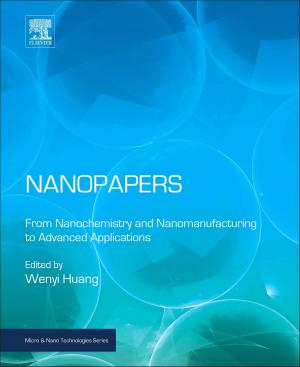 Cover of the book Nanopapers by Fuyuhiko Tamanoi, S. Zahra Bathaie