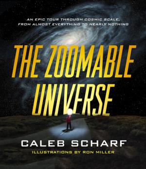 bigCover of the book The Zoomable Universe by 