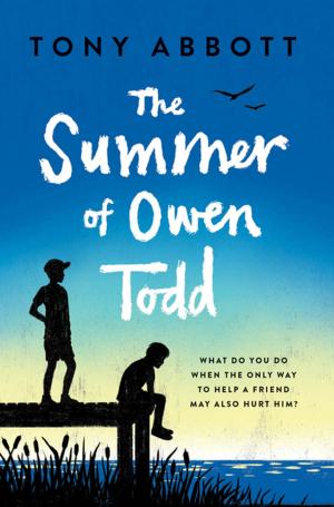 Cover of the book The Summer of Owen Todd by Deborah Diesen