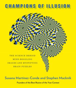 Book cover of Champions of Illusion