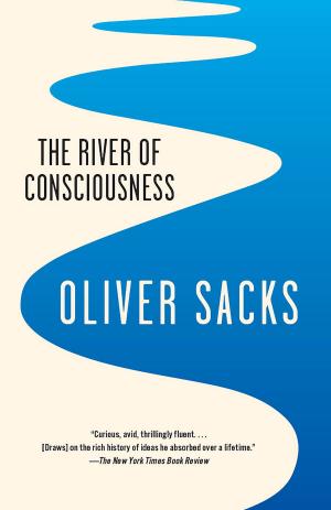 Book cover of The River of Consciousness