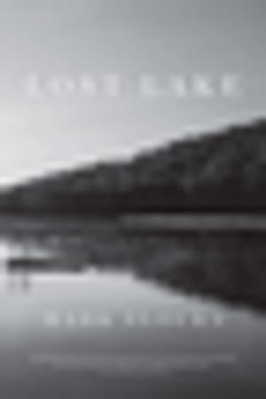 Cover of the book Lost Lake: Stories by Steven Vogel