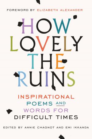 Cover of the book How Lovely the Ruins by Lars Anderson