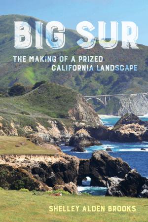 Cover of the book Big Sur by David S. Jachowski