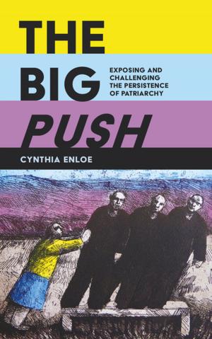 Cover of the book The Big Push by Peter Green
