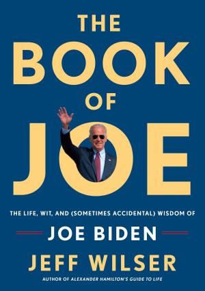 Book cover of The Book of Joe