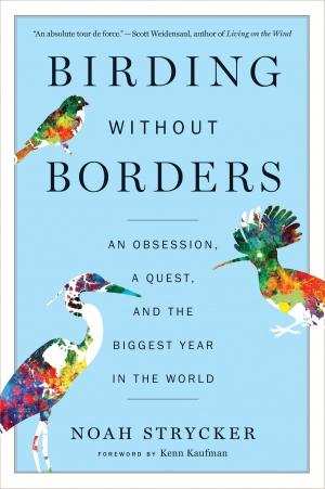 Cover of the book Birding Without Borders by J.R.R. Tolkien