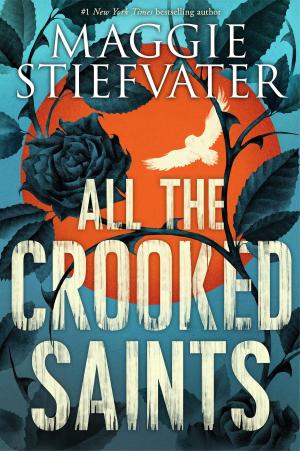 Cover of the book All the Crooked Saints by Jennifer Ziegler