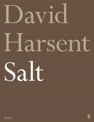 Cover of the book Salt by Conor Cruise O'Brien