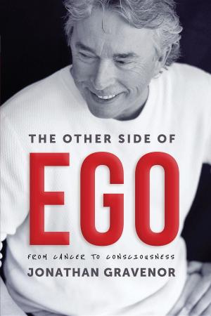 bigCover of the book The Other Side of Ego by 