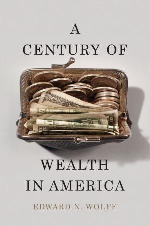 Cover of the book A Century of Wealth in America by E.J. Kelly