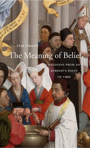 Cover of the book The Meaning of Belief by John Burt