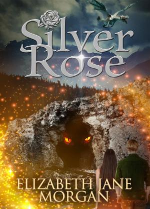 Book cover of Silver Rose