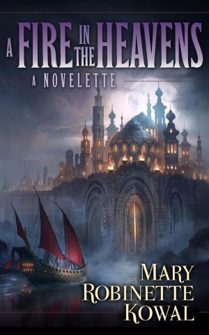 Cover of the book A Fire in the Heavens by Don Martinez