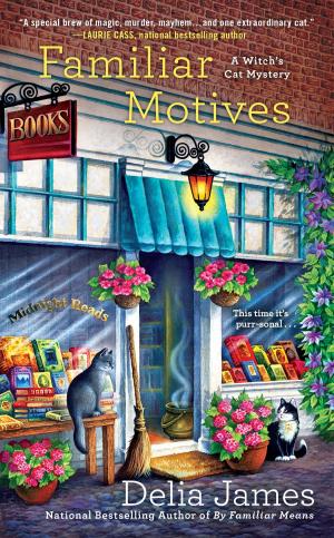 Cover of the book Familiar Motives by Rachel Starnes