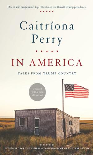 Book cover of In America